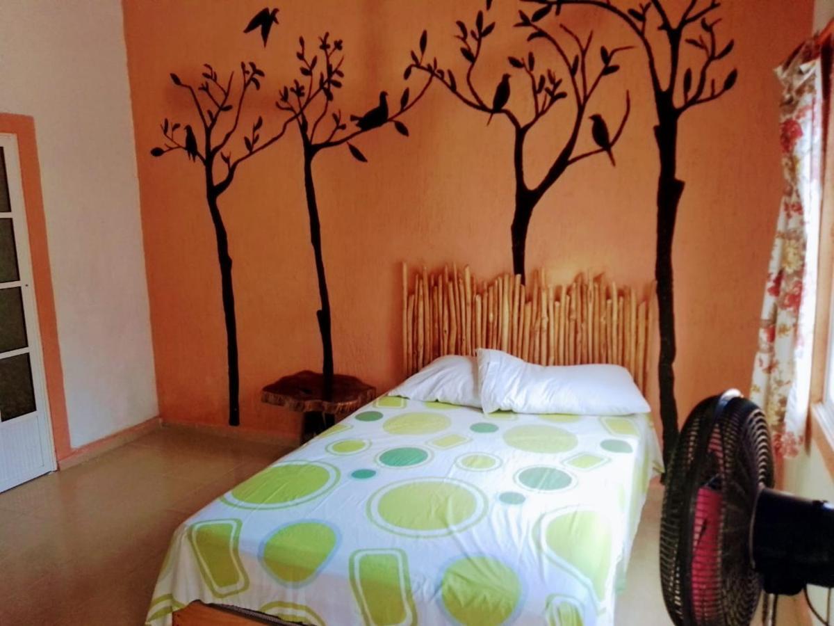 Tribe Beachville El Cuyo Εξωτερικό φωτογραφία