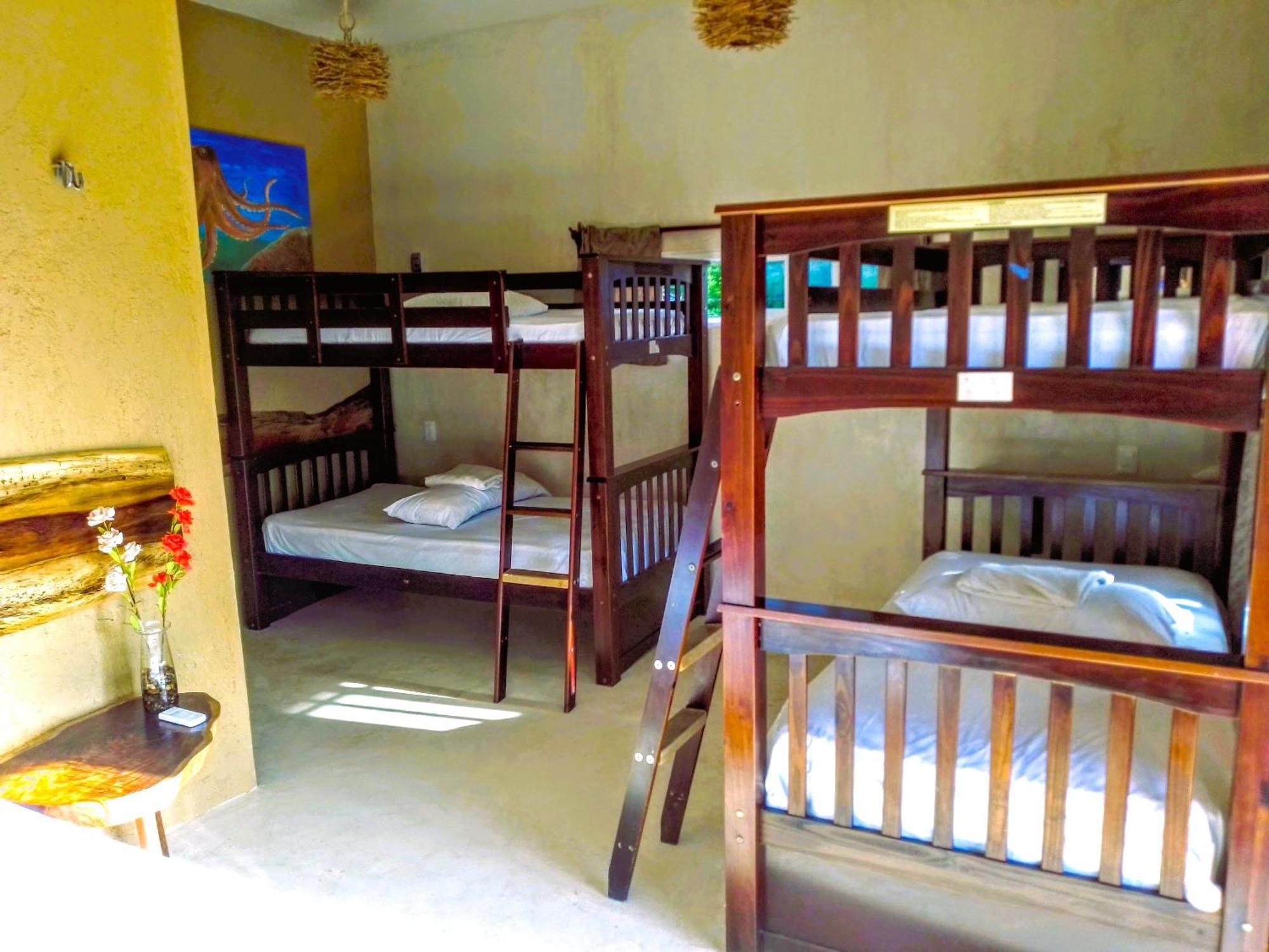 Tribe Beachville El Cuyo Εξωτερικό φωτογραφία